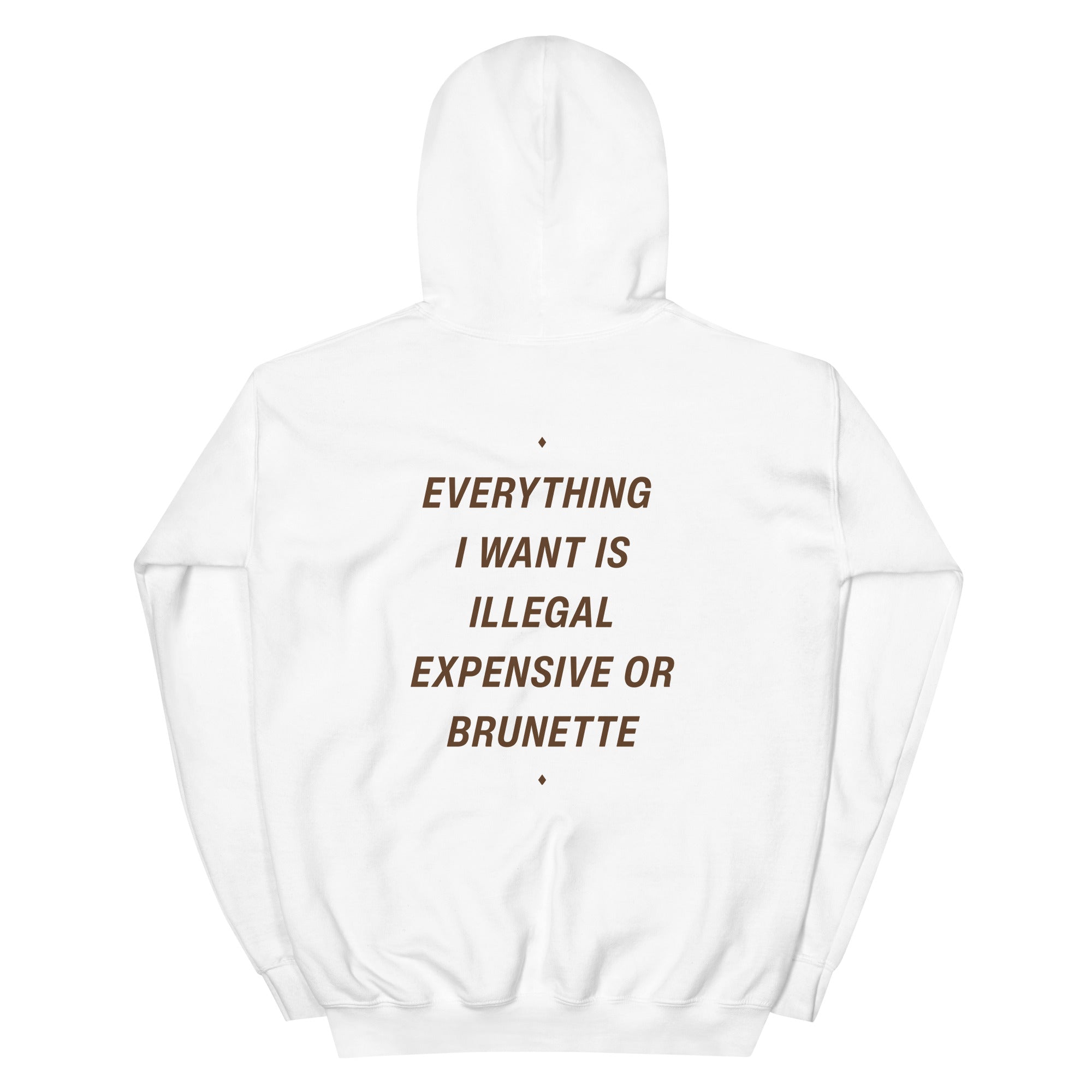 White unisex hoodie from LessSaid featuring the "Everything I Want Is Illegal, Expensive or Brunette" design on the back.