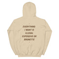 Unisex beige hoodie featuring the "Everything I Want Is Illegal, Expensive or Brunette" text, from LessSaid, with a back view.
