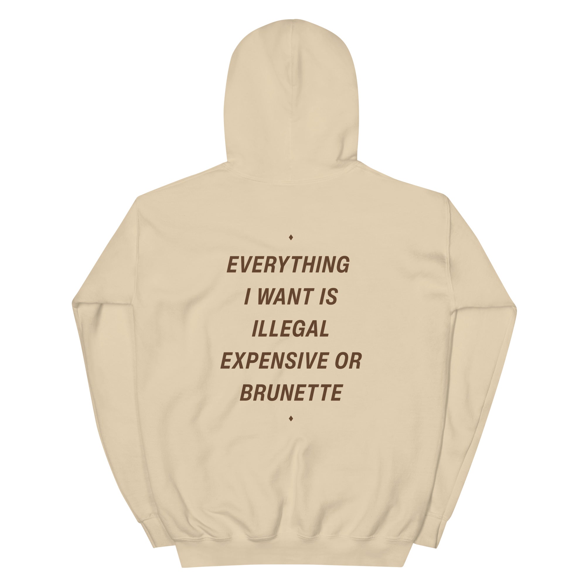Unisex beige hoodie featuring the "Everything I Want Is Illegal, Expensive or Brunette" text, from LessSaid, with a back view.