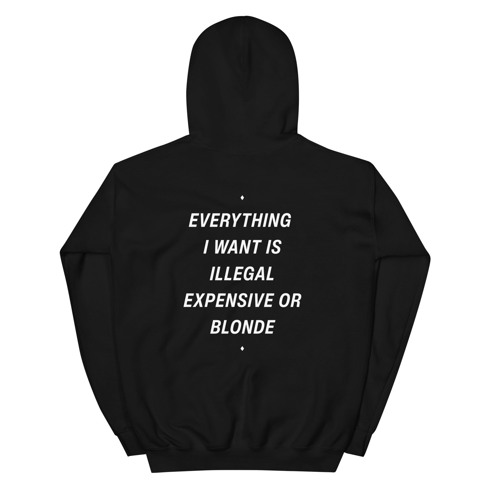 Black unisex hoodie from LessSaid featuring the "Everything I Want Is Illegal, Expensive or Blonde" graphic on the back.